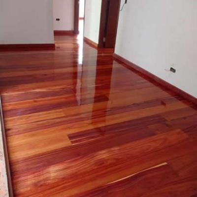 20072026 Imagen 20