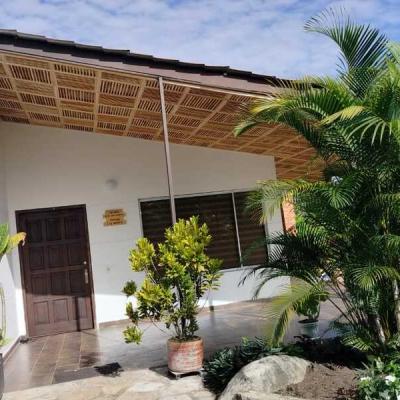 Pergola De Madera Imagen8